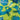 SPEEDO AQUATIC AQUASHORTS - Infant Boys